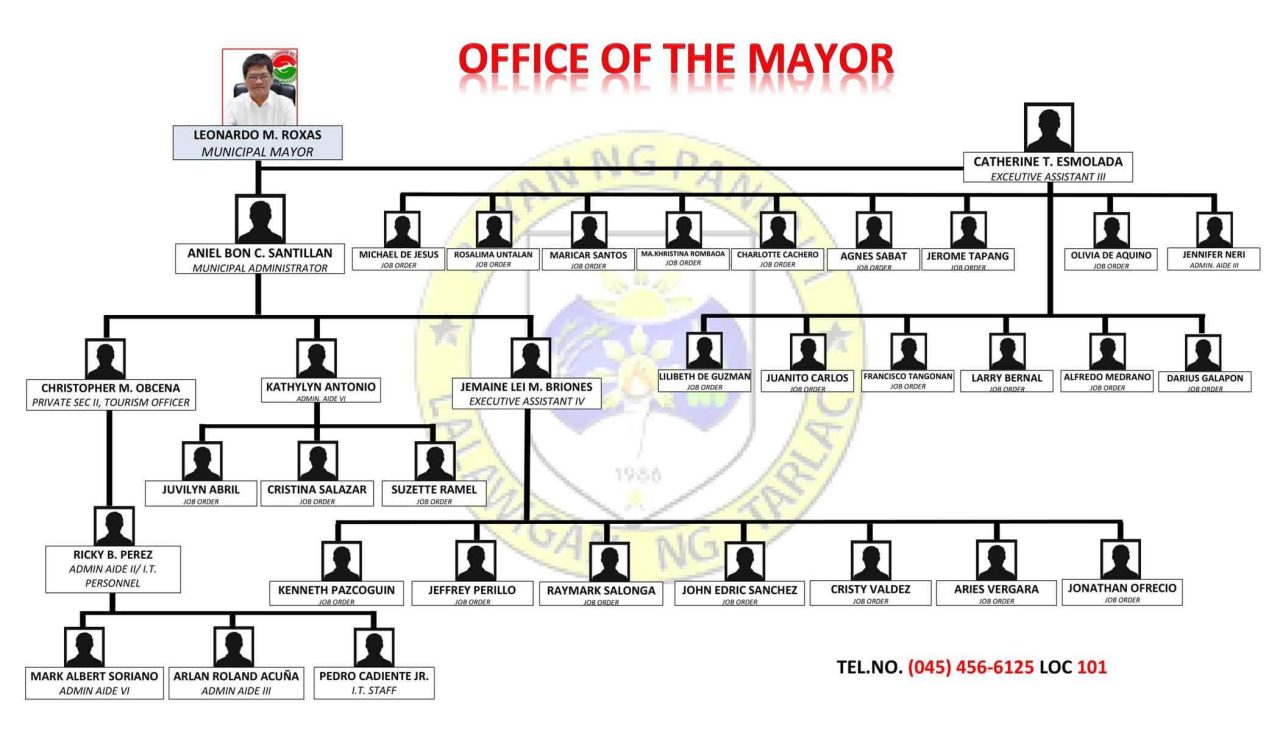 LGU Paniqui Office Organizational Chart | Municipality of Paniqui Tarlac